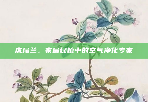 虎尾兰，家居绿植中的空气净化专家