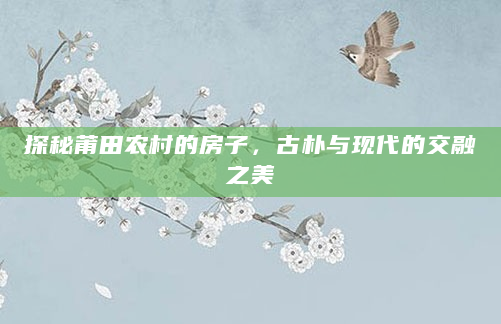 探秘莆田农村的房子，古朴与现代的交融之美