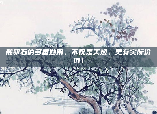鹅卵石的多重妙用，不仅是美观，更有实际价值！