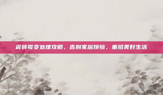 瓷砖霉变处理攻略，告别家居烦恼，重拾美好生活