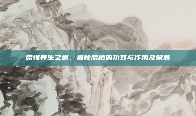 腊梅养生之道，揭秘腊梅的功效与作用及禁忌