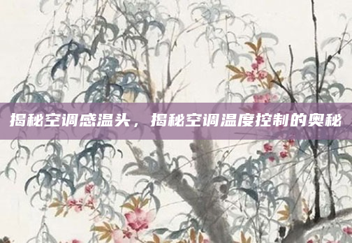 揭秘空调感温头，揭秘空调温度控制的奥秘