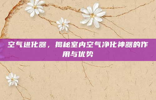 空气进化器，揭秘室内空气净化神器的作用与优势