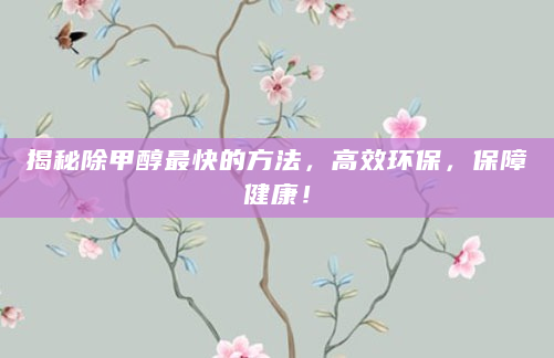 揭秘除甲醇最快的方法，高效环保，保障健康！
