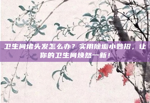 卫生间堵头发怎么办？实用除垢小妙招，让你的卫生间焕然一新！