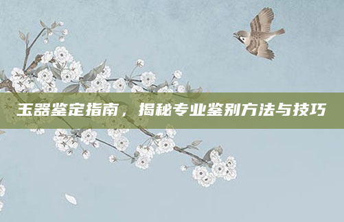 玉器鉴定指南，揭秘专业鉴别方法与技巧