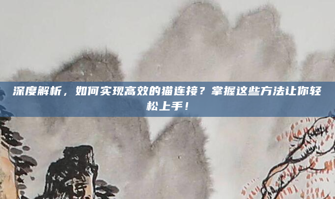 深度解析，如何实现高效的猫连接？掌握这些方法让你轻松上手！