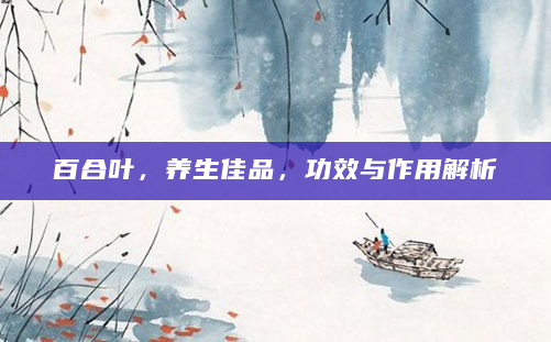 百合叶，养生佳品，功效与作用解析