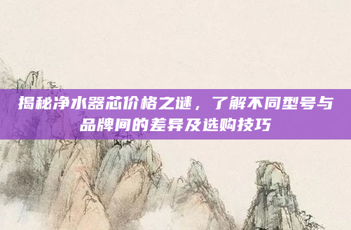 揭秘净水器芯价格之谜，了解不同型号与品牌间的差异及选购技巧