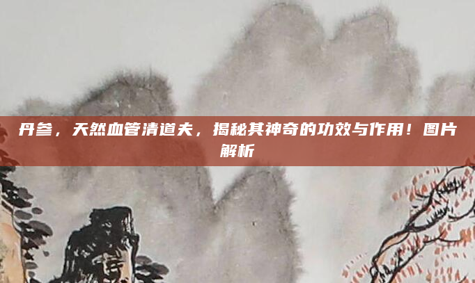 丹参，天然血管清道夫，揭秘其神奇的功效与作用！图片解析