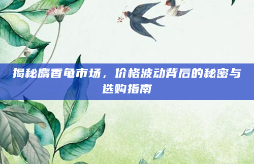 揭秘麝香龟市场，价格波动背后的秘密与选购指南