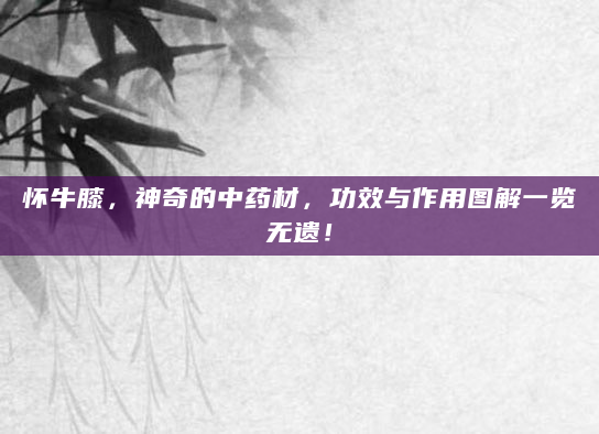 怀牛膝，神奇的中药材，功效与作用图解一览无遗！