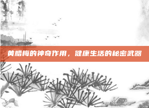 黄腊梅的神奇作用，健康生活的秘密武器