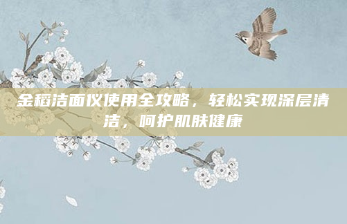 金稻洁面仪使用全攻略，轻松实现深层清洁，呵护肌肤健康
