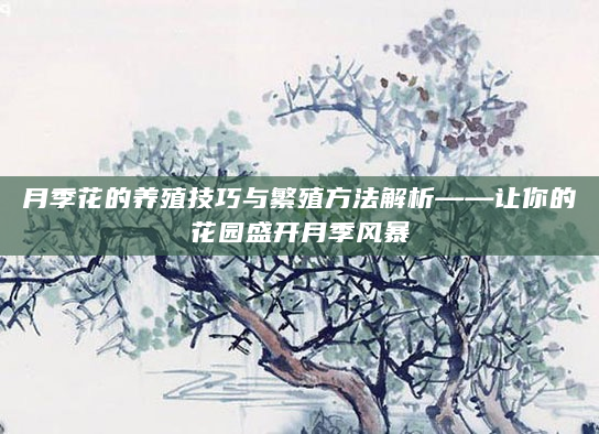 月季花的养殖技巧与繁殖方法解析——让你的花园盛开月季风暴