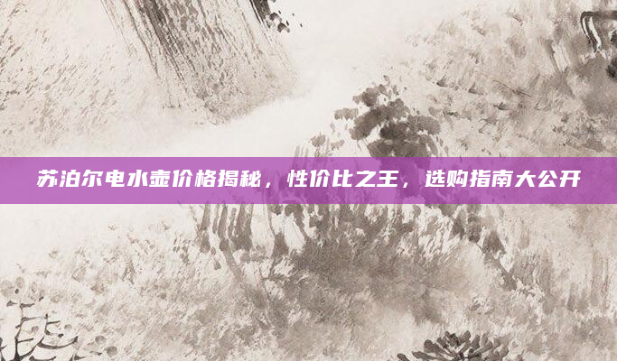 苏泊尔电水壶价格揭秘，性价比之王，选购指南大公开