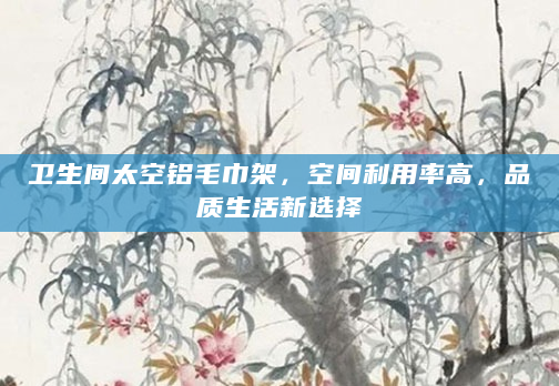 卫生间太空铝毛巾架，空间利用率高，品质生活新选择