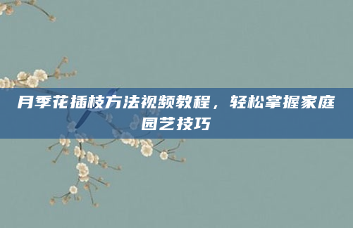 月季花插枝方法视频教程，轻松掌握家庭园艺技巧