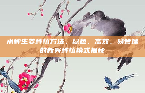 水种生姜种植方法，绿色、高效、易管理的新兴种植模式揭秘