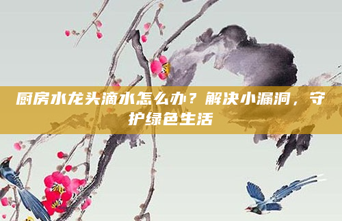 厨房水龙头滴水怎么办？解决小漏洞，守护绿色生活