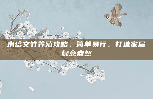 水培文竹养殖攻略，简单易行，打造家居绿意盎然