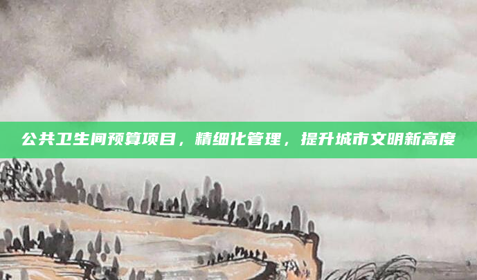 公共卫生间预算项目，精细化管理，提升城市文明新高度