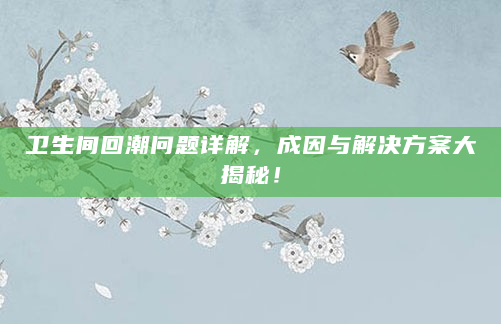 卫生间回潮问题详解，成因与解决方案大揭秘！
