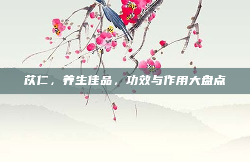 苡仁，养生佳品，功效与作用大盘点