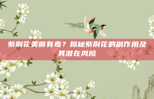 紫荆花美丽有毒？揭秘紫荆花的副作用及其潜在风险
