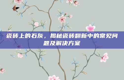 瓷砖上的石灰，揭秘瓷砖翻新中的常见问题及解决方案