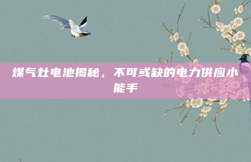煤气灶电池揭秘，不可或缺的电力供应小能手