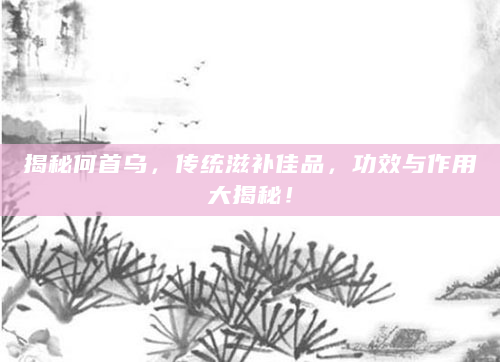 揭秘何首乌，传统滋补佳品，功效与作用大揭秘！