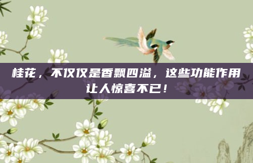 桂花，不仅仅是香飘四溢，这些功能作用让人惊喜不已！