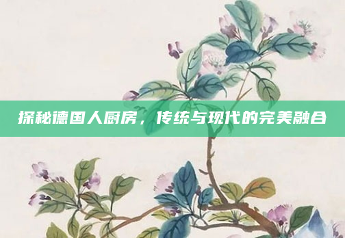 探秘德国人厨房，传统与现代的完美融合