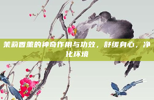 茉莉香薰的神奇作用与功效，舒缓身心，净化环境