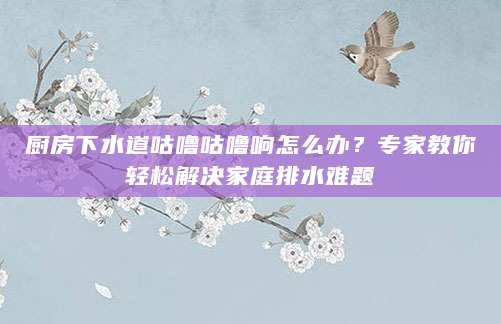 厨房下水道咕噜咕噜响怎么办？专家教你轻松解决家庭排水难题