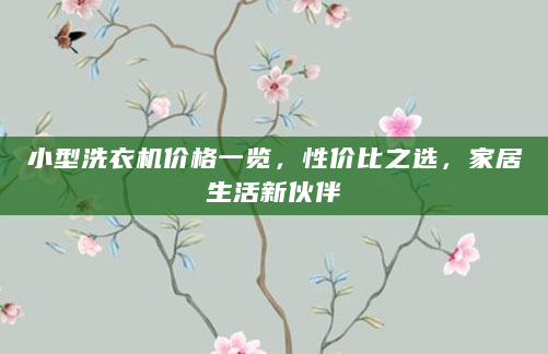小型洗衣机价格一览，性价比之选，家居生活新伙伴