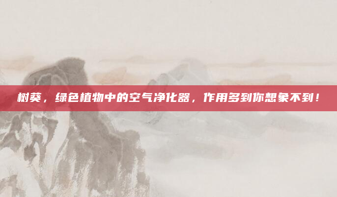 树葵，绿色植物中的空气净化器，作用多到你想象不到！