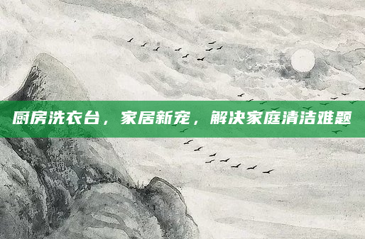 厨房洗衣台，家居新宠，解决家庭清洁难题