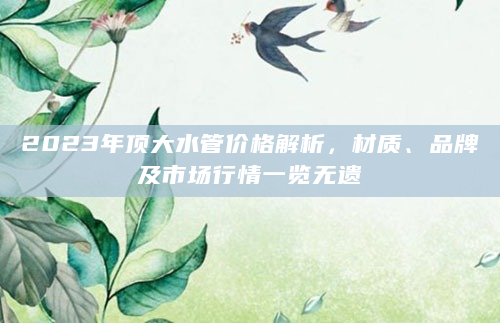 2023年顶大水管价格解析，材质、品牌及市场行情一览无遗