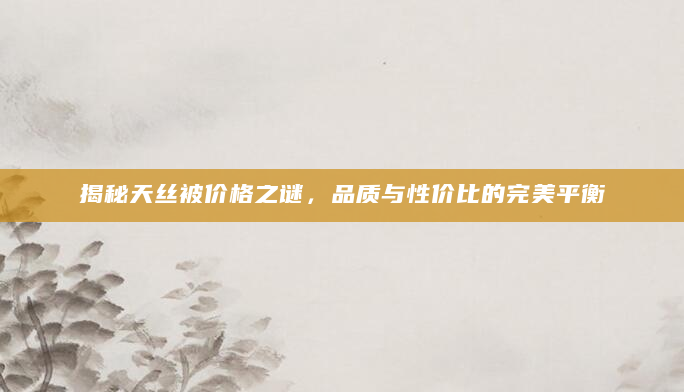 揭秘天丝被价格之谜，品质与性价比的完美平衡