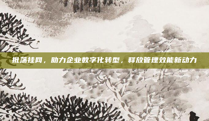 批荡挂网，助力企业数字化转型，释放管理效能新动力