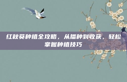 红秋葵种植全攻略，从播种到收获，轻松掌握种植技巧