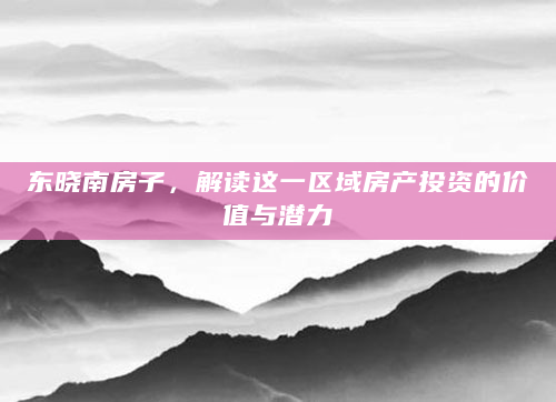 东晓南房子，解读这一区域房产投资的价值与潜力