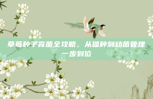 草莓种子育苗全攻略，从播种到幼苗管理一步到位