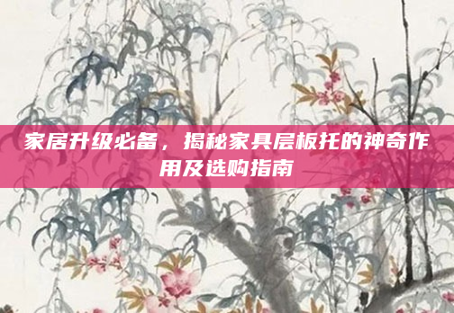 家居升级必备，揭秘家具层板托的神奇作用及选购指南