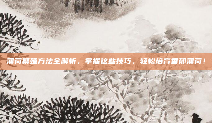 薄荷繁殖方法全解析，掌握这些技巧，轻松培育香郁薄荷！