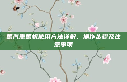 蒸汽熏蒸机使用方法详解，操作步骤及注意事项