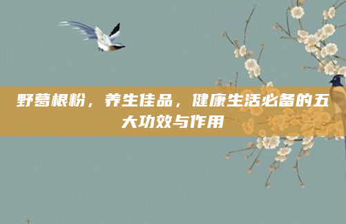 野葛根粉，养生佳品，健康生活必备的五大功效与作用