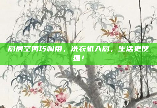 厨房空间巧利用，洗衣机入厨，生活更便捷！